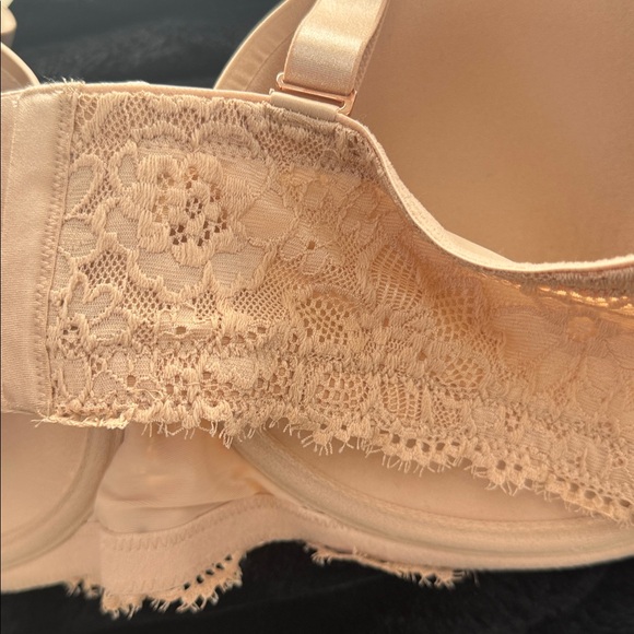 Elegant Lace Trimmed Bra - Picture 4 of 5